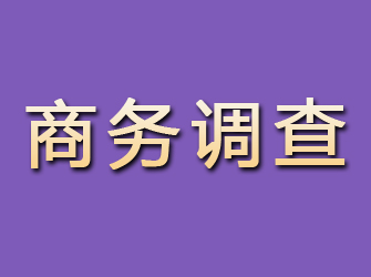 蓝山商务调查